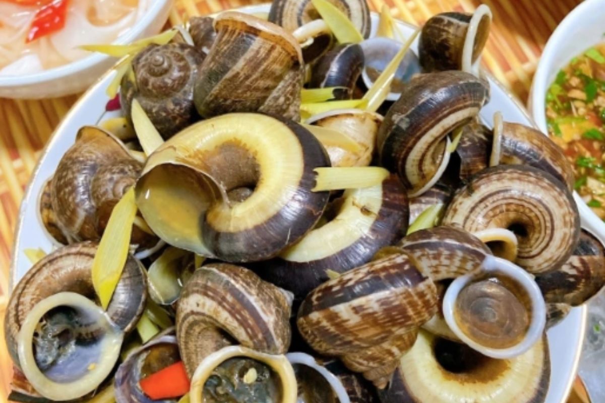 Stream Snails